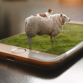 Moutophone corrected WM - copie