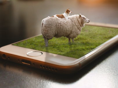 Moutophone corrected WM - copie