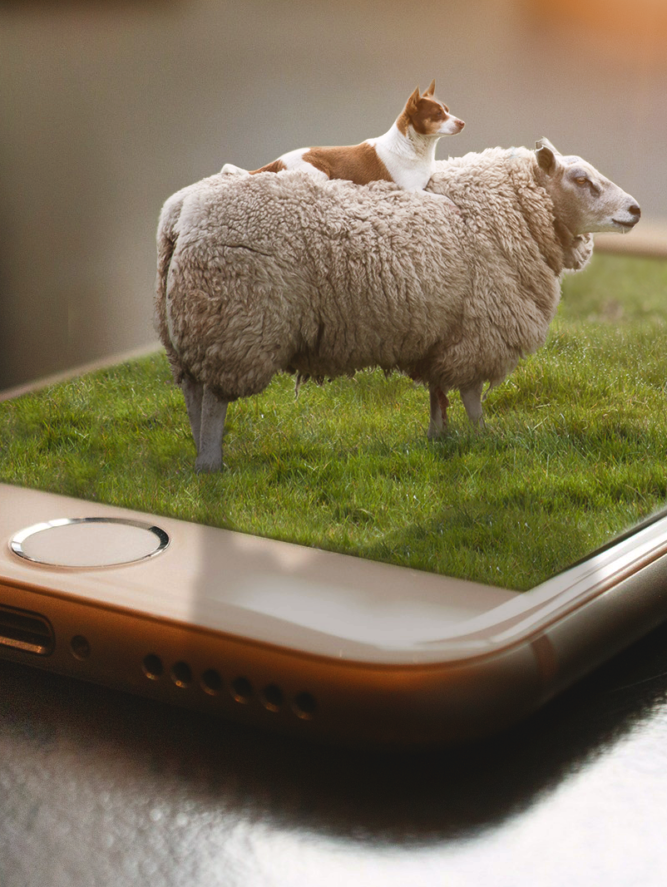 Moutophone corrected WM - copie